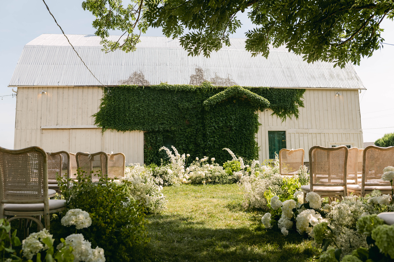 Ivy-covered 1881 barn facade with ceremony chairs and white floral arrangements